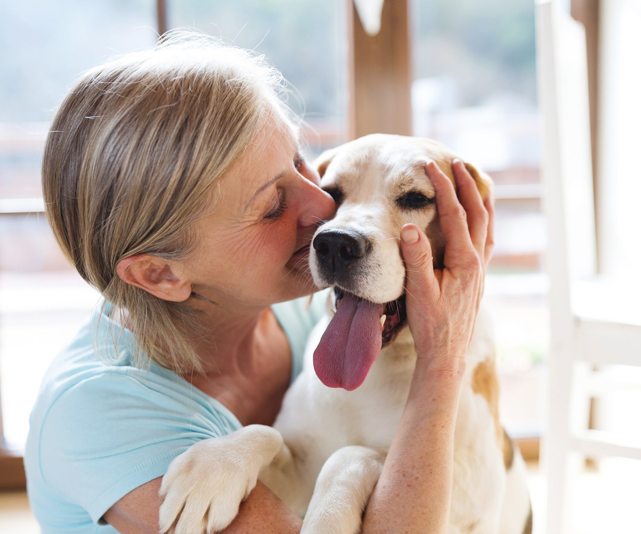 Animal-assisted therapy - animals help people Animal-assisted therapy - animals help people