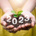 Nachhaltiger Neujahrsvorsatz 2023