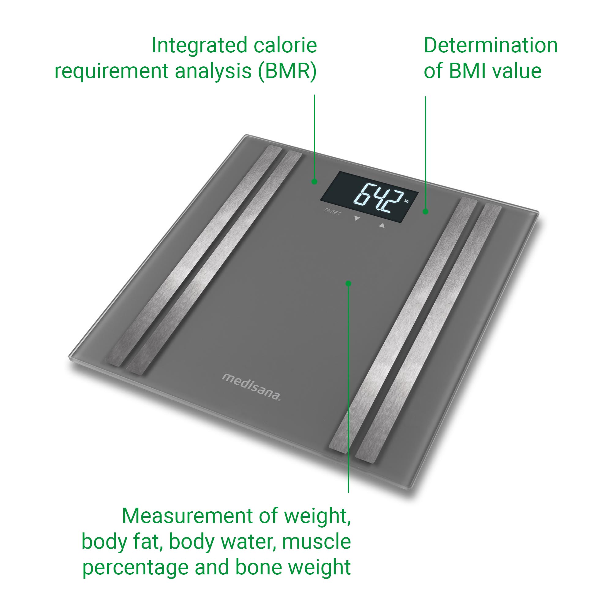BS 476 | Body Composition Scale