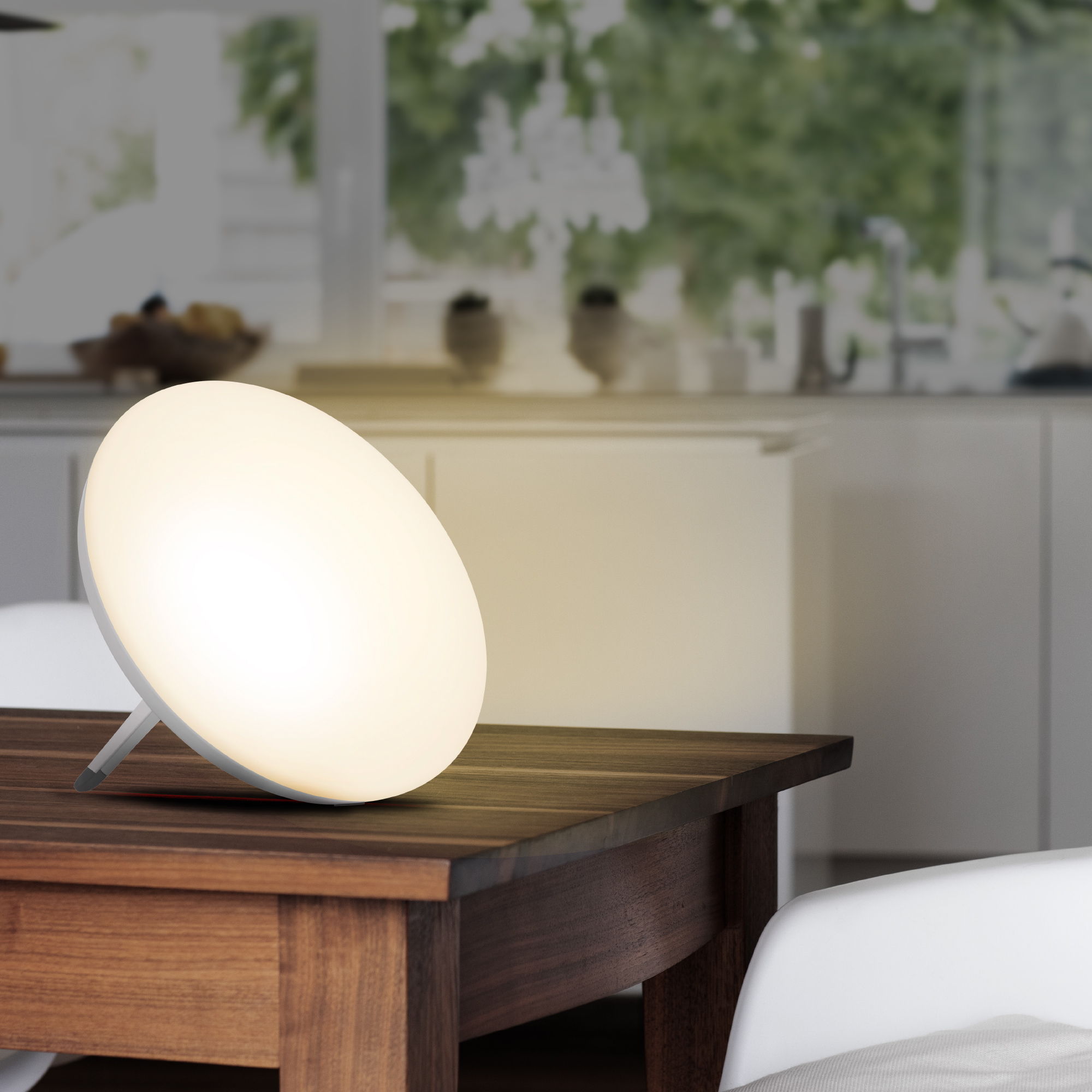 LT 500 | Daglichtlamp